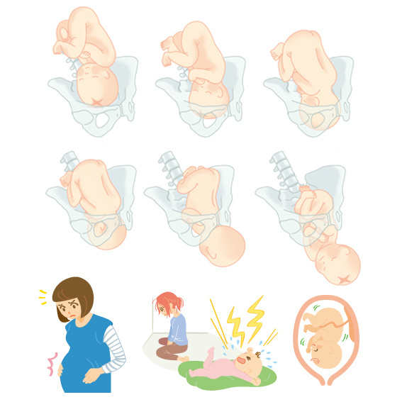 骨盤と赤ちゃんの動きに苦労しました。